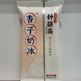 钟薛高 杏子奶冰口味棒冰 75g