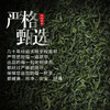 新茶大道至简 • 老树绿茶125克（50包*2.5克） 商品缩略图3