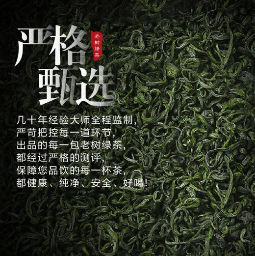新茶大道至简 • 老树绿茶125克（50包*2.5克） 商品图3