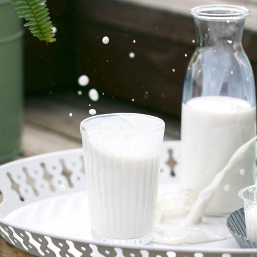 奶中贵族！【安牧山羊奶】天然牧场 优选奶源 营养全面易吸收 奶香四溢口感好  小孩大人都爱喝！ 商品图3