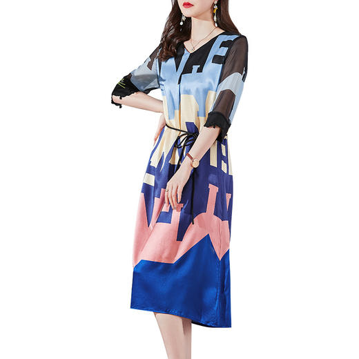 2022印花真丝连衣裙中年妈妈女装收腰显瘦桑蚕丝裙HR-WA22109 商品图4