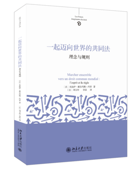 一起迈向世界的共同法：理念与规则 米海伊戴尔玛斯－玛蒂 北京大学出版社