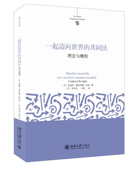 一起迈向世界的共同法：理念与规则 米海伊戴尔玛斯－玛蒂 北京大学出版社 商品图0