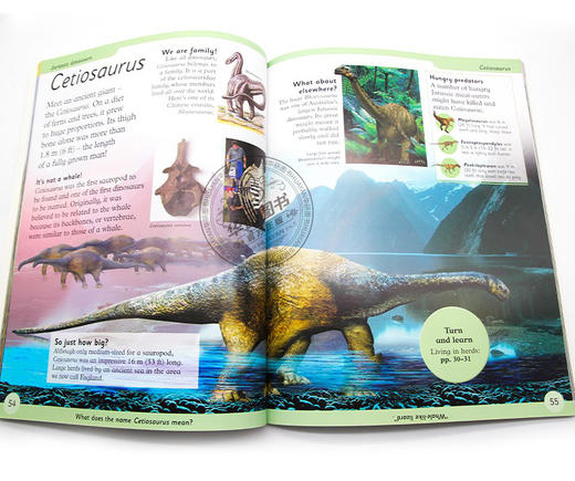 DK恐龙百科全书 英文原版 First Dinosaur Encyclopedia 图解词典科普书 英文版原版书籍 进口英语书 商品图2
