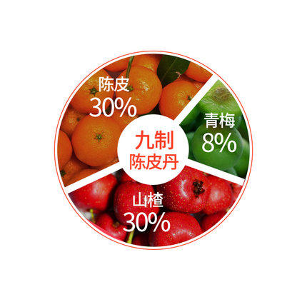 佳宝九制陈皮丹65g 1瓶装 商品图3