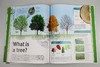 树 树叶 种子百科 英文原版 Trees Leaves Flowers Seeds DK 植物王国的视觉百科全书 英文版进口原版英语书籍 商品缩略图2