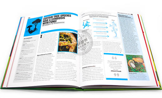 DK生态学百科图解 英文原版 The Ecology Book DK人类的思想百科丛书 科普百科 英文版原版书籍 精装 进口英语书 商品图1