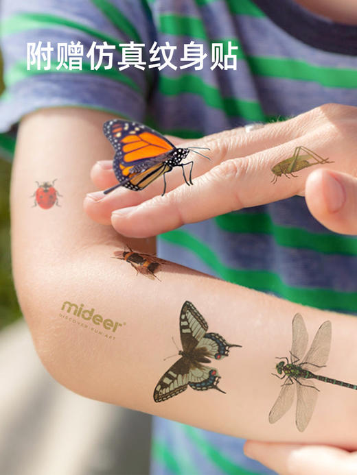 mideer儿童昆虫观察盒生物实验放大镜开学礼物观察器捕捉科学玩具 商品图4