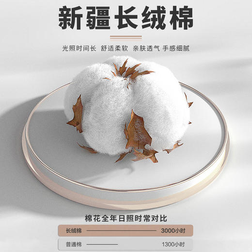 【上衣+裤子】罗蒙夏季新款男士套装 新疆长绒棉 凉爽透气 绵柔亲肤 休闲短袖两件套 商品图5