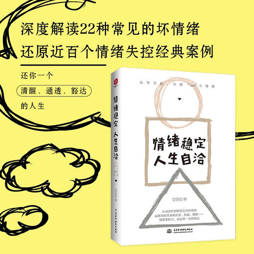 情绪稳定 人生自洽 丁十三 著 生动剖析22种常见的坏情绪，远离突如其来的沮丧 商品图1