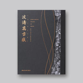 一本可以“盘”的赏石书：《波涛万古痕-中国太湖水石艺术》