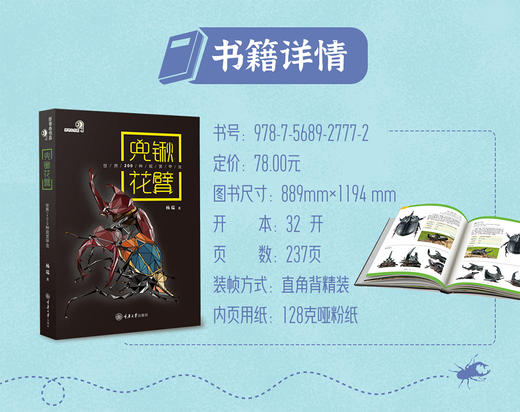 兜锹花臂——世界200种观赏甲虫 商品图1