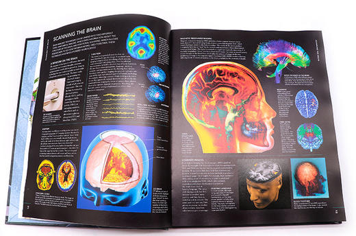 大脑之书 图解大脑结构 生命科学指南 英文原版 The Brain Book 探索脑部系统 精装 3D图解真实照片案例 英文版进口原版英语书籍 商品图2