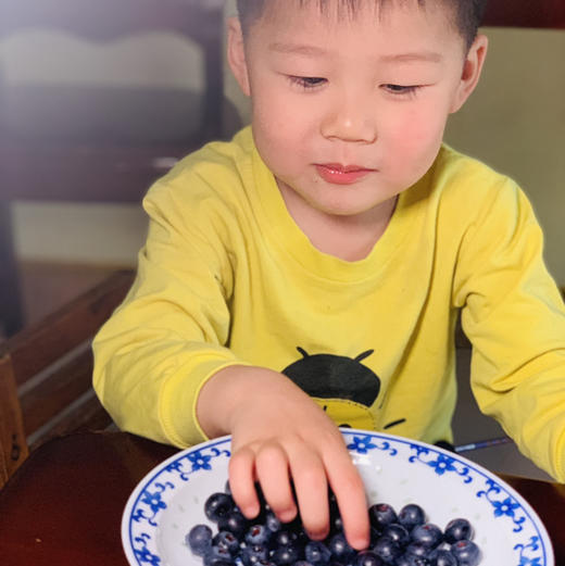 云南高山花香树上熟蓝莓  125g/盒  （酸甜可口） 商品图12