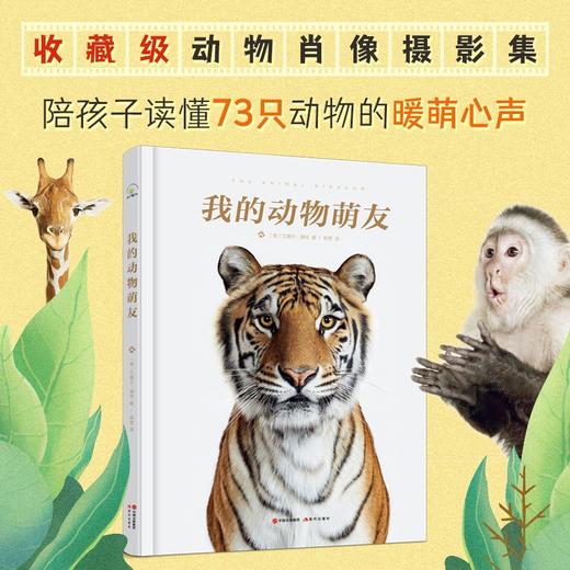 (仓发) （秋千童书）我的动物萌友/现代出版社/兰德尔·福特/9787514388589 商品图0
