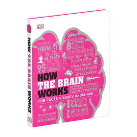 大脑是如何运作的 英文原版 How the Brain Works 大脑运作百科 DK科普读物图形图解 英文版进口原版英语书籍