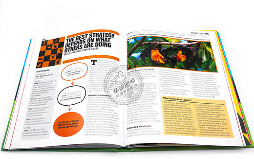 DK生态学百科图解 英文原版 The Ecology Book DK人类的思想百科丛书 科普百科 英文版原版书籍 精装 进口英语书 商品图3