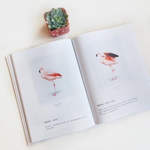 (仓发) （秋千童书）我的动物萌友/现代出版社/兰德尔·福特/9787514388589 商品图1