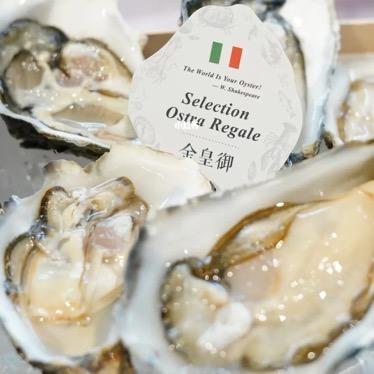 【单只现货】金皇御生蚝 (Selection Ostra Regale) 商品图1