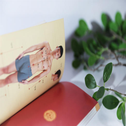 【心如健推荐】超简单快速取穴：畅销升级版（第二版） 商品图4