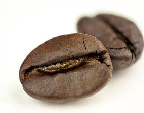 什么是罗布斯塔种？