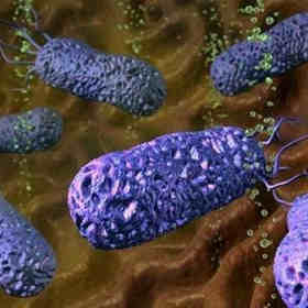 幽门螺旋杆菌感染了，怎么办？