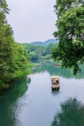 #杭州#杭州的春天