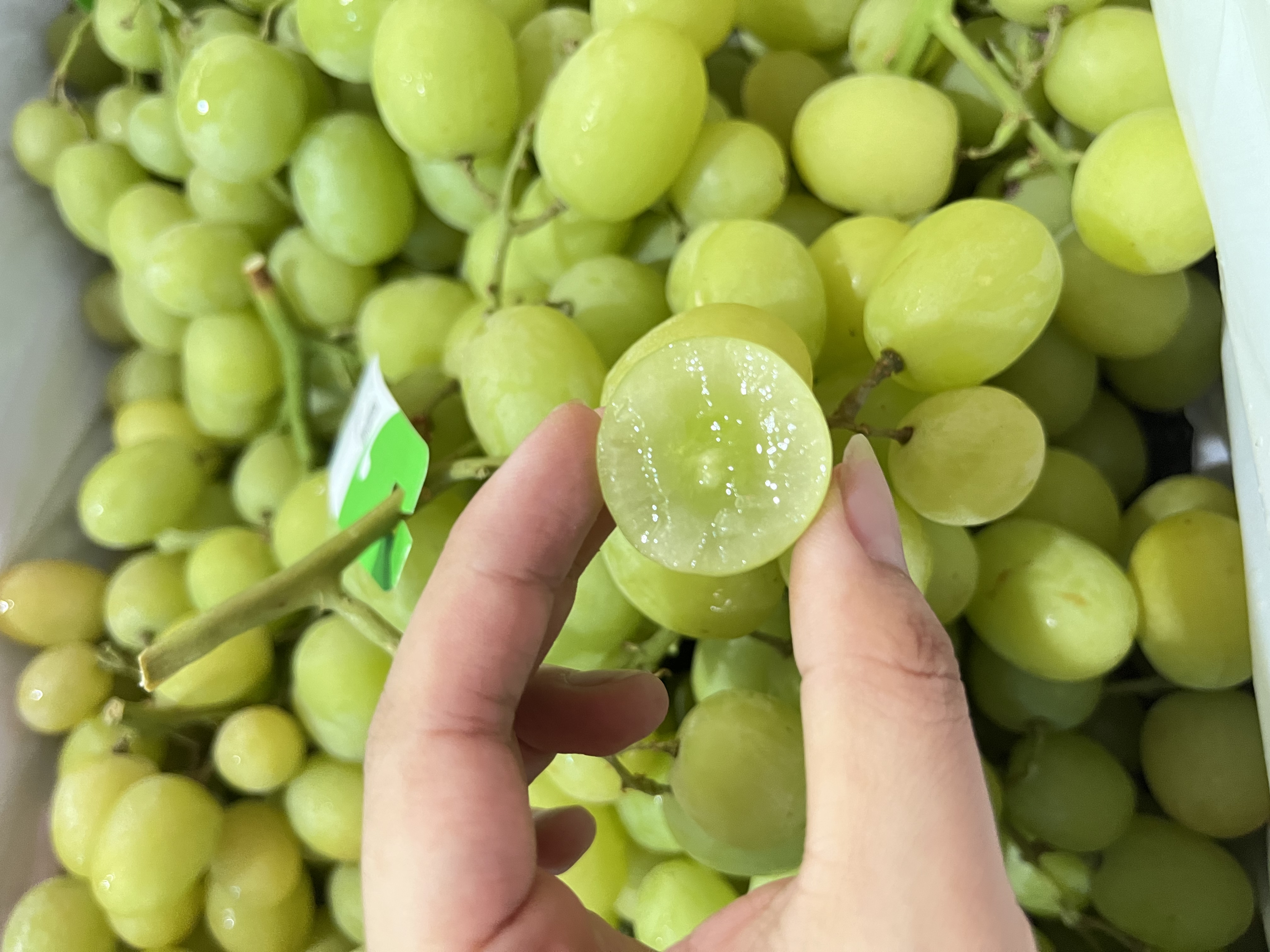 澳洲 甜地球青提  一盒5斤   (提子运输过程中摇晃可能轻微掉粒，介意慎拍~）