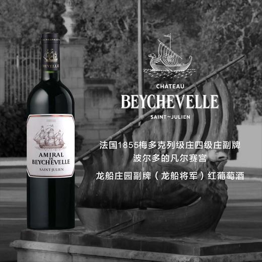 SXZD白诗桅帆城堡圣朱丽安法定产区干红葡萄酒（2007） 商品图3