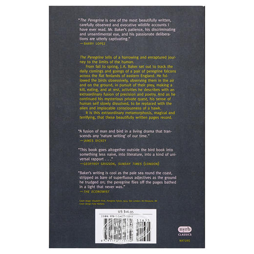 【中商原版】游隼 豆瓣阅读 英文原版 The Peregrine J. A. Baker 商品图1