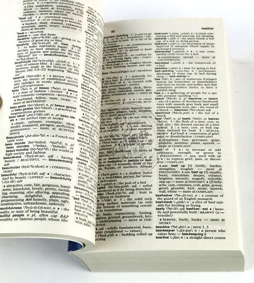 韦氏同义词字典 英文原版 Merriam-Webster's Dictionary and Thesaurus 新版 英文版词典工具书 进口原版英语词汇学习书籍 商品图1