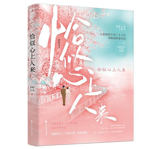 (仓发) 恰似心上人来/花山文艺出版社/草灯大人/9787551158015 商品图0