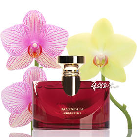 宝格丽 醉美兰香 Bvlgari Splendida Magnolia Sensuel 小样/正装