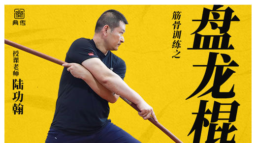 【盘龙棍训练】教程 商品图0