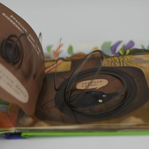 STEAM探索 法布尔昆虫记互动立体书 蜣螂 3-6岁儿童科普启蒙书 幼儿启蒙绘本 3D互动探索 纸上昆虫博物课 商品图6