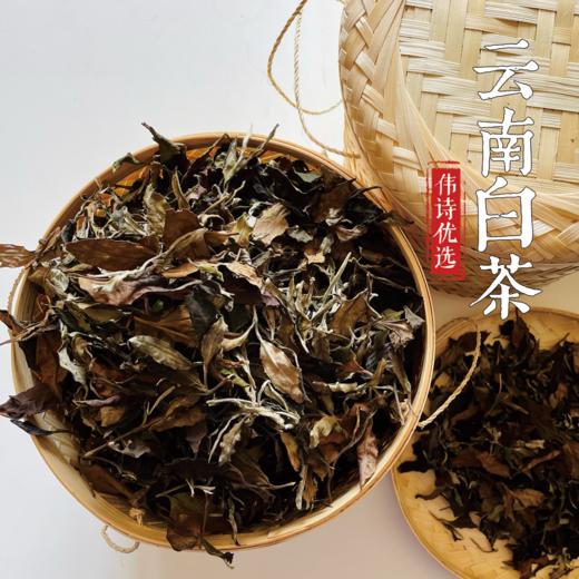 伟诗优选 | 云南白茶 商品图1