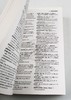 Collins柯林斯波兰语词典 英文原版 Collins Polish Essential Dictionary 波兰语英语双语字典 英文版进口学习工具书 商品缩略图2