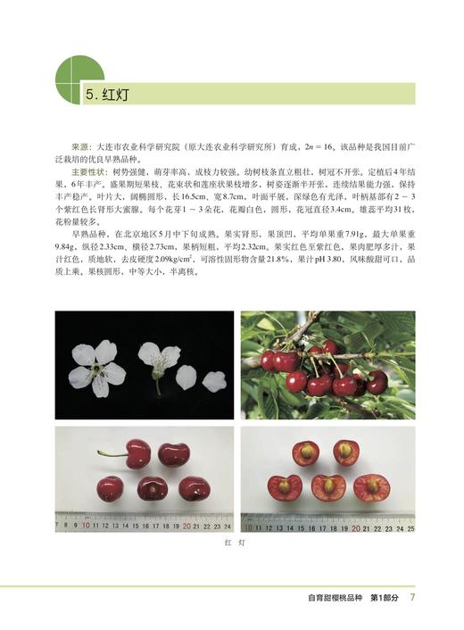 中国樱桃主要品种【中国农业出版社官方正版，可开发票，下单时留开票信息和电子邮箱】 商品图5