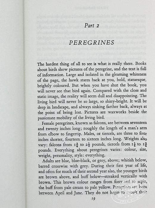 【中商原版】游隼 豆瓣阅读 英文原版 The Peregrine J. A. Baker 商品图7