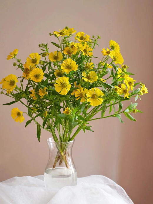 配花 | 油画小菊 商品图1