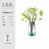 英国进口LSA玻璃春风/水绿系列轻奢水晶玻璃花瓶 商品缩略图5