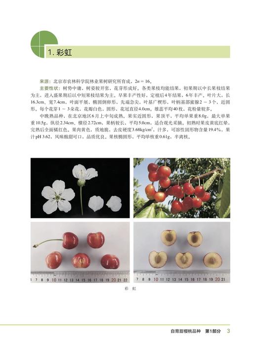 中国樱桃主要品种【中国农业出版社官方正版，可开发票，下单时留开票信息和电子邮箱】 商品图1