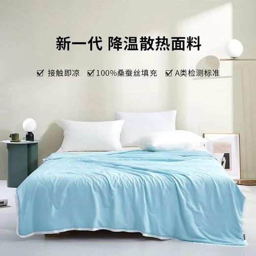 太湖雪蚕丝被凉小荷凉感夏被 商品图3