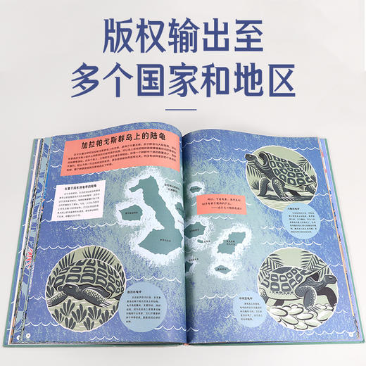 像伟人一样思考世界 爱因斯坦/达尔文/莎士比亚 商品图4