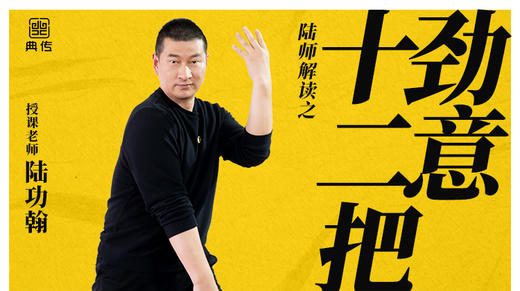 陆师解读内家拳—十二把劲意 商品图0