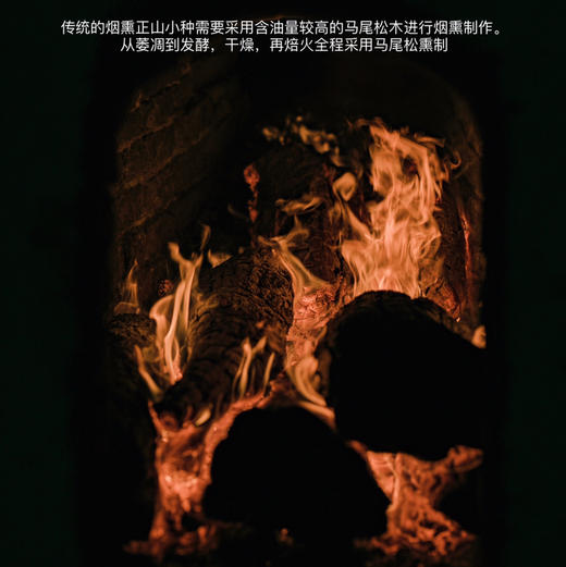 烟熏正山小种 桐木关红茶 商品图9