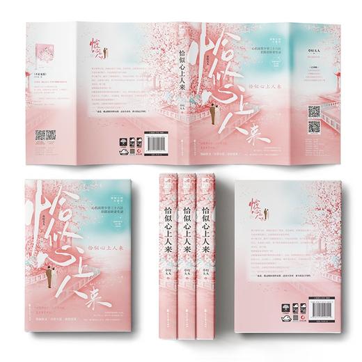 (仓发) 恰似心上人来/花山文艺出版社/草灯大人/9787551158015 商品图4