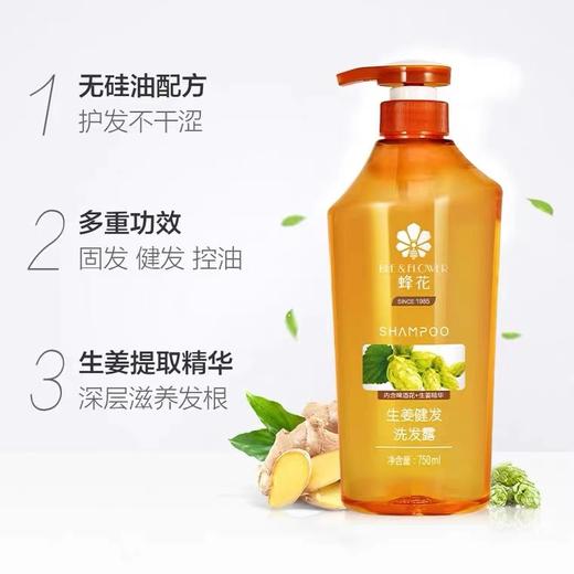 日化  蜂花洗发露(石榴滋养/生姜健发/芦荟水润)750ml. 商品图2