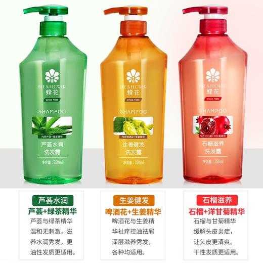 日化  蜂花洗发露(石榴滋养/生姜健发/芦荟水润)750ml. 商品图0