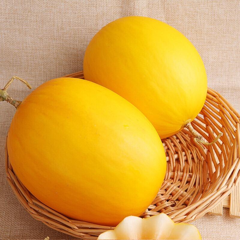 【新鲜现货】黄金蜜瓜 水润鲜甜 贵族气质 饱满圆润 香甜多汁 清凉